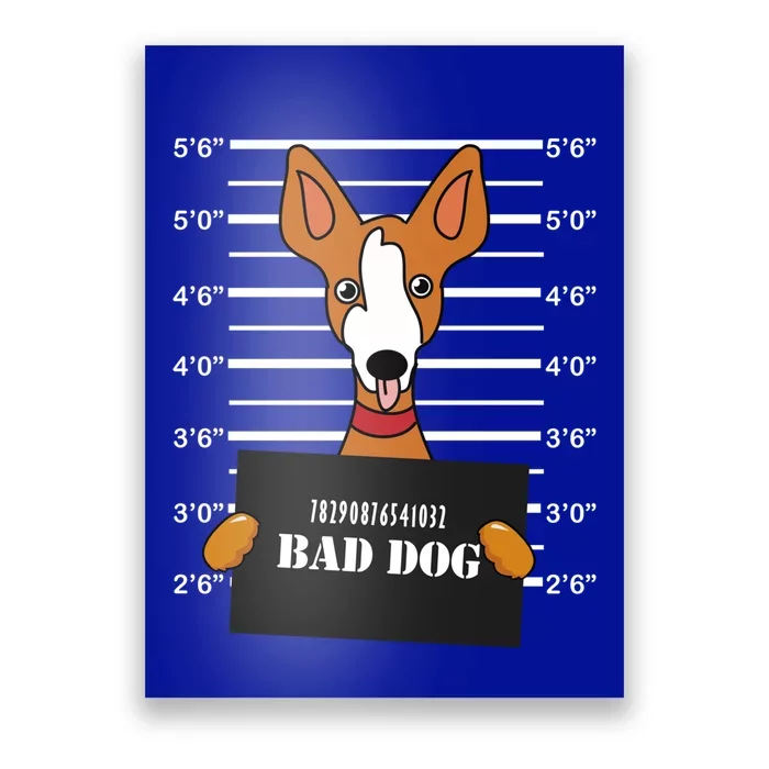 Ibizan Hound Mug Shot Bad Dog Mom Dad Gift Poster