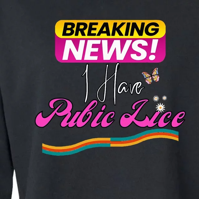 I Have Pubic Lice Funny Retro Offensive Inappropriate Meme Cropped Pullover Crew