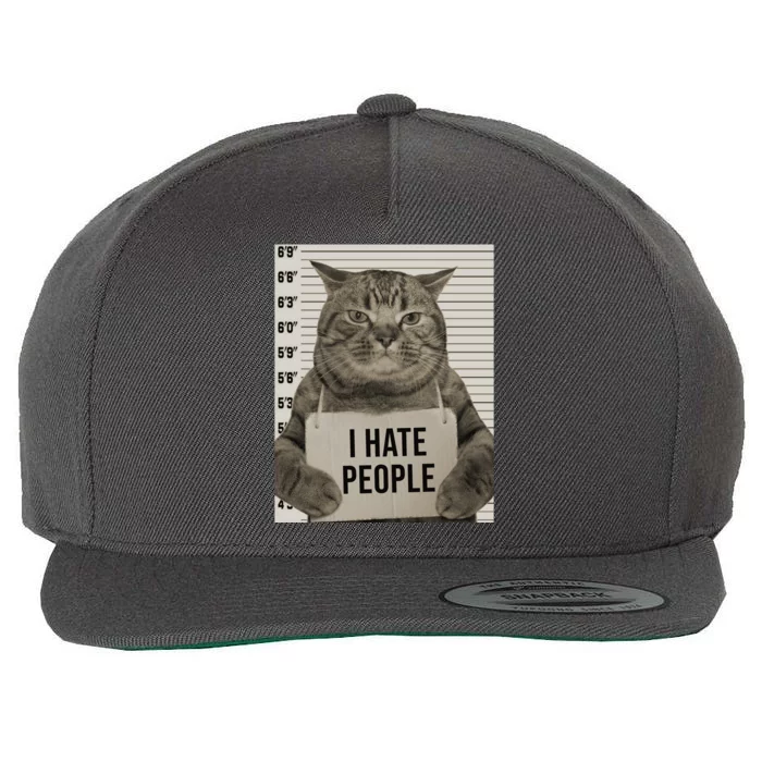 I Hate People Funny Jail Cat Wool Snapback Cap