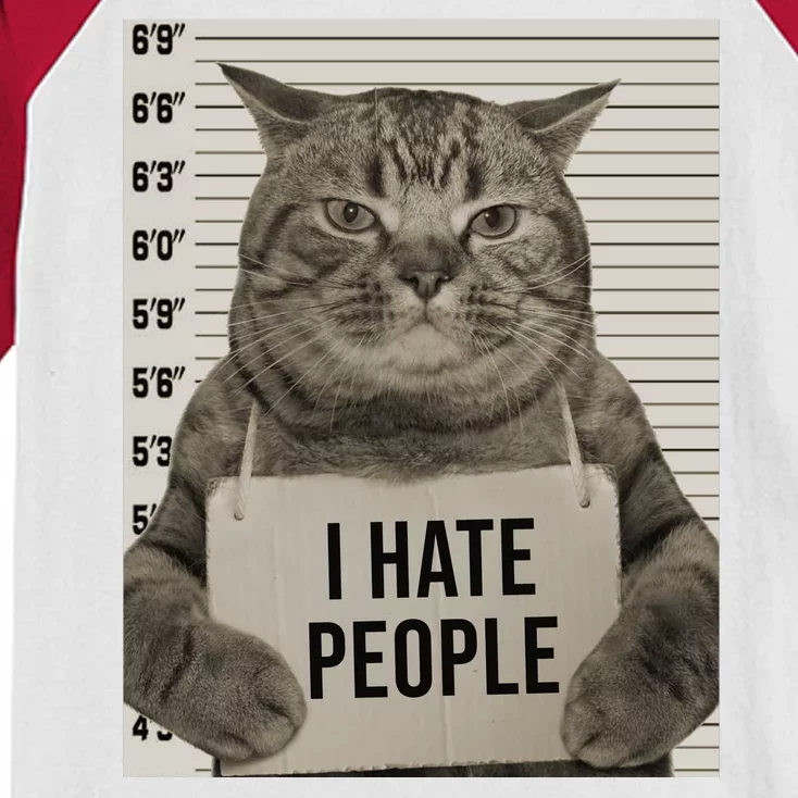 I Hate People Funny Jail Cat Kids Colorblock Raglan Jersey