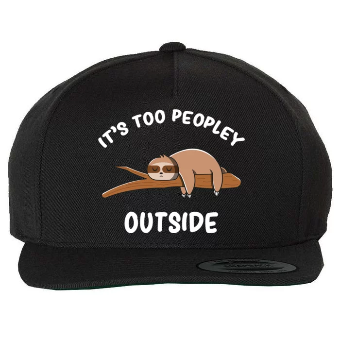 Introvert Humor Sloth Antisocial Sarcasm Wool Snapback Cap