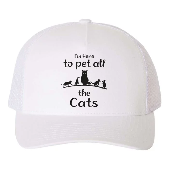 I'm Here To Pet All The Cats Funny Idea Cat Yupoong Adult 5-Panel Trucker Hat