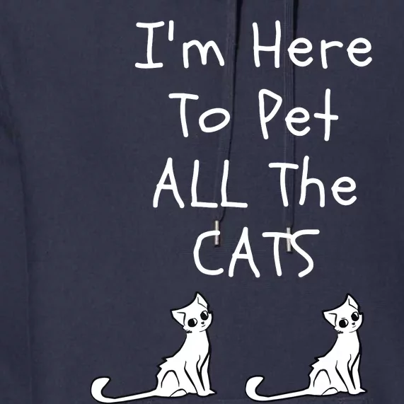 Im Here To Pet All The Cats Men Women Premium Hoodie