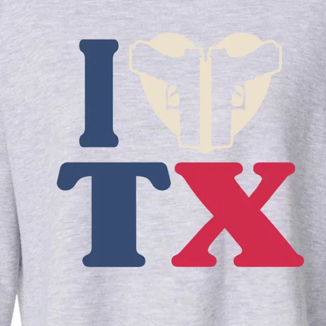 I Heart Texas Tx Love Pro Usa 2nd Adt Pro Gun Cute Gift Cropped Pullover Crew