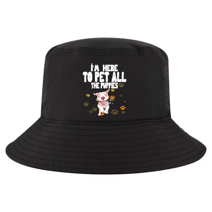 I'm Here To Pet All The Puppies Cute Puppies Lovers Cool Comfort Performance Bucket Hat