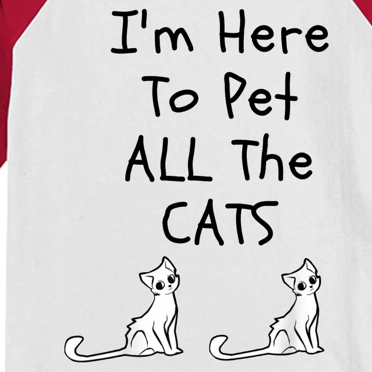 I'm Here To Pet All The Cats Kids Colorblock Raglan Jersey