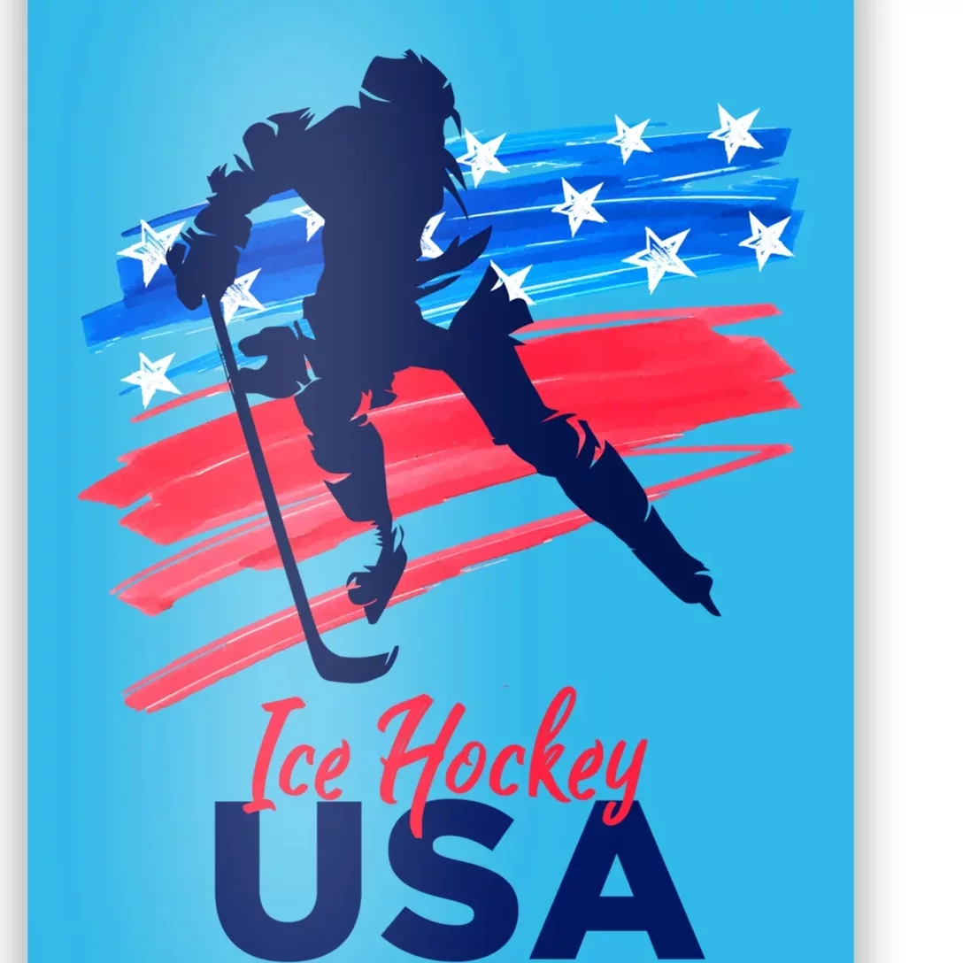 Ice Hockey Usa Support The Team Gift Usa Flag Hockey Lover Meaningful Gift Poster