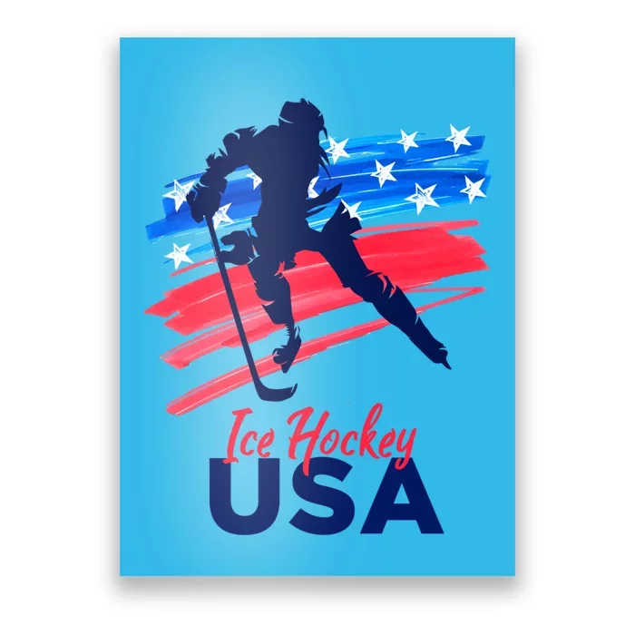 Ice Hockey Usa Support The Team Gift Usa Flag Hockey Lover Meaningful Gift Poster