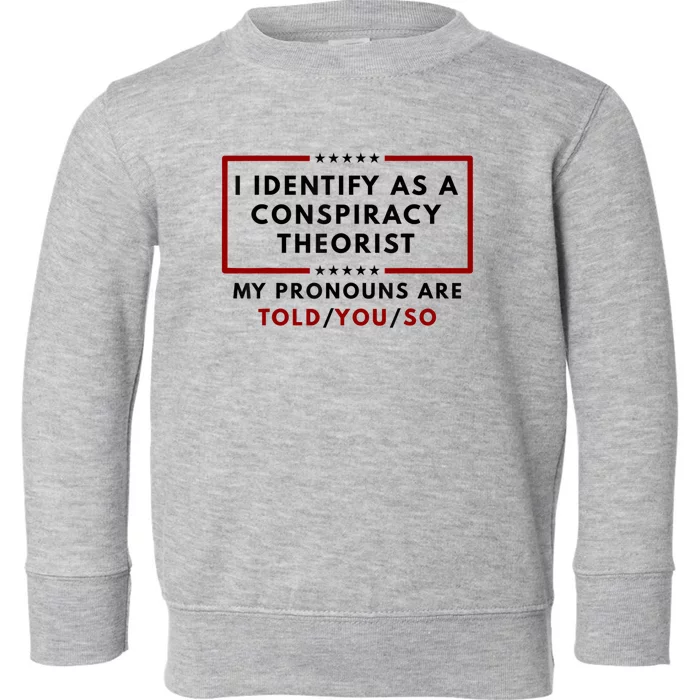 I Identify As A Conspiracy Theorist My Pronouns Are Told Toddler Sweatshirt