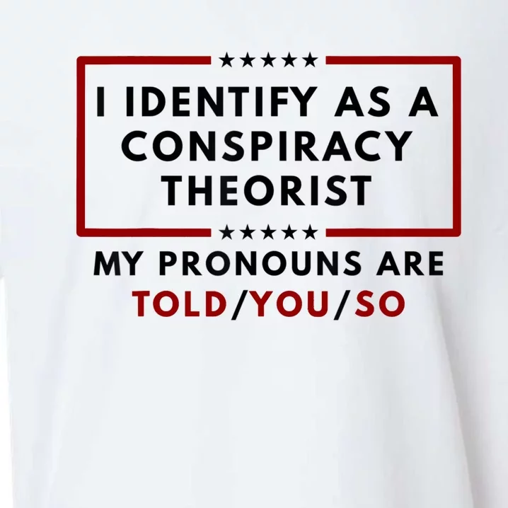 I Identify As A Conspiracy Theorist My Pronouns Are Told Sueded Cloud Jersey T-Shirt