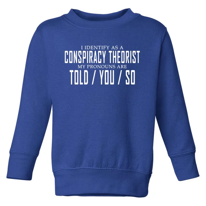 I Identify As A Conspiracy Theorist Toddler Sweatshirt