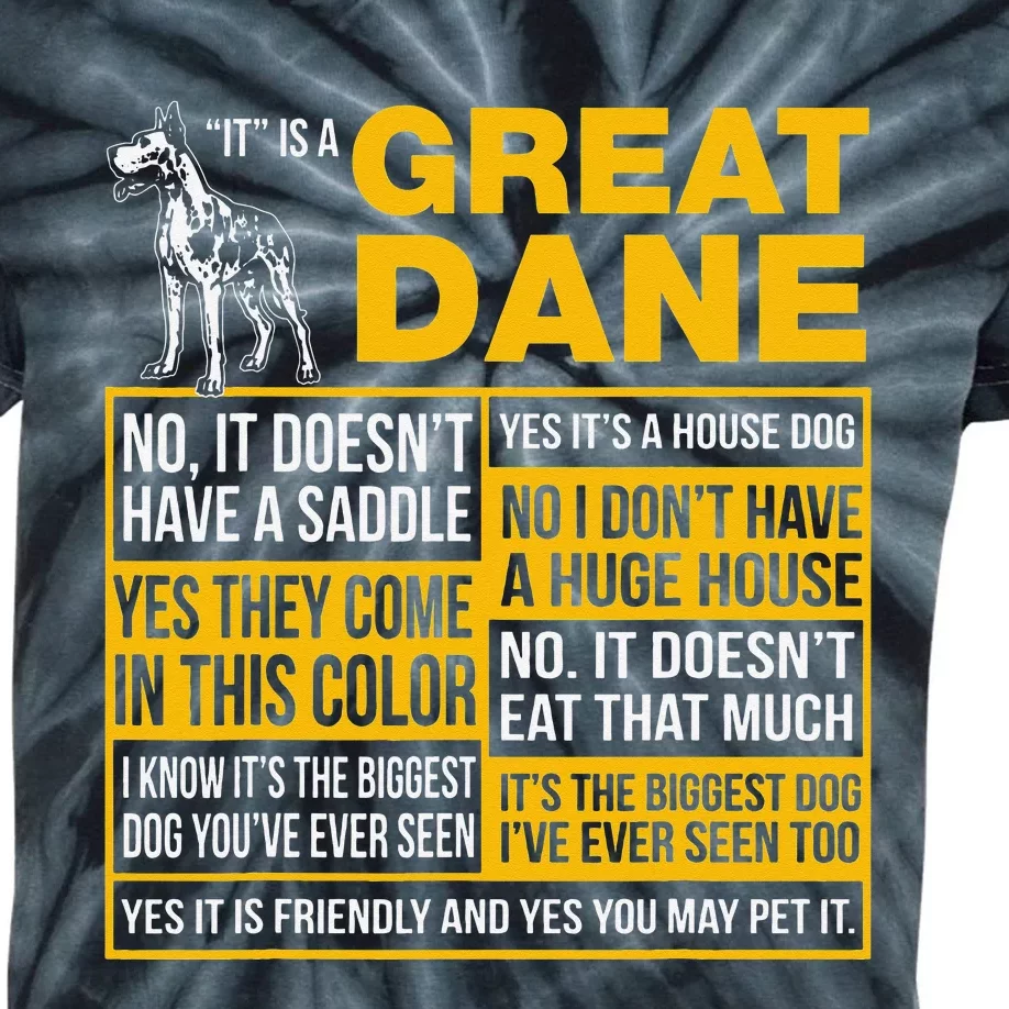 It Is A Great Dane Funny Gift Dog Lover Kids Tie-Dye T-Shirt