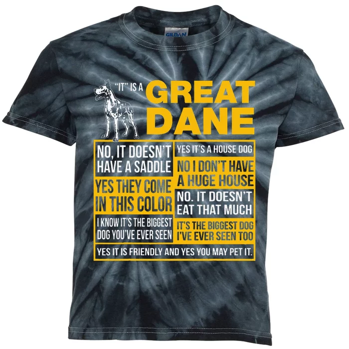 It Is A Great Dane Funny Gift Dog Lover Kids Tie-Dye T-Shirt