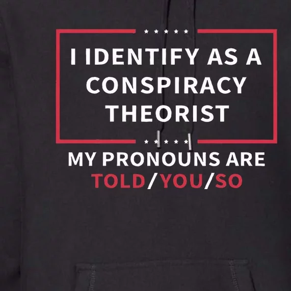 I Identify As A Conspiracy Theorist My Pronouns Are Told You Premium Hoodie