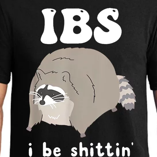 Ibs I Be Shittin Raccoon Funny Pajama Set