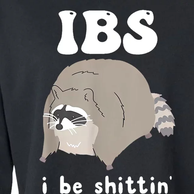 Ibs I Be Shittin Raccoon Funny Cropped Pullover Crew