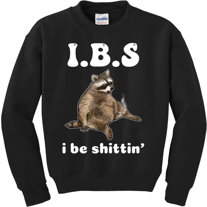 Ibs I Be Shittin Cute Raccoon Funny Kids Sweatshirt