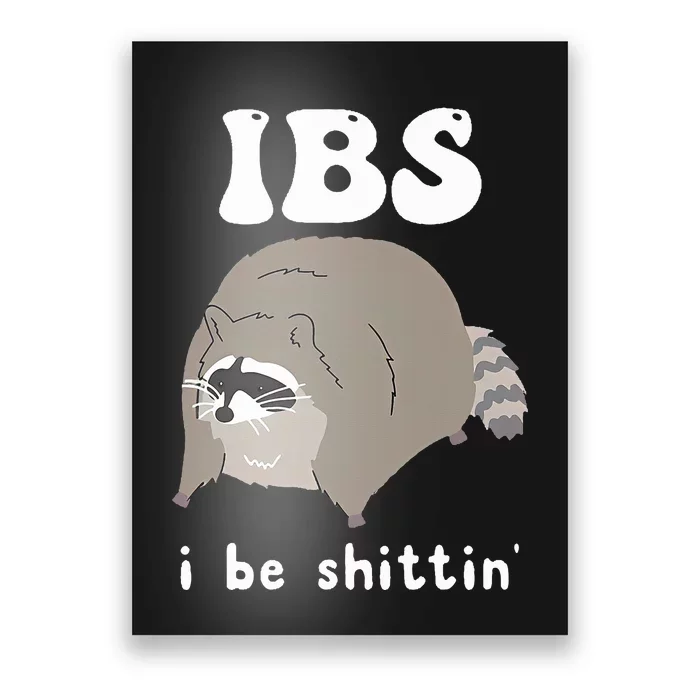 IBS I Be Shittin' Raccoon Funny Poster