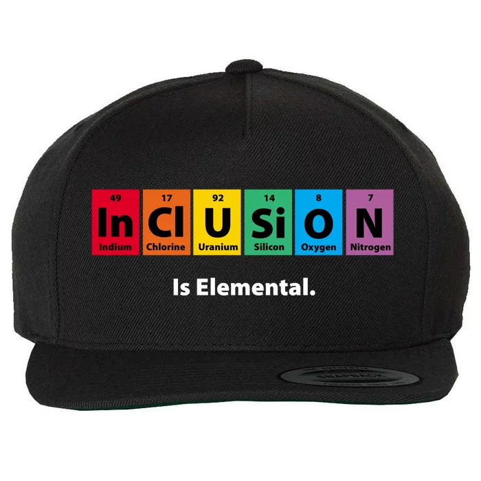 Inclusion Is Elemental Wool Snapback Cap