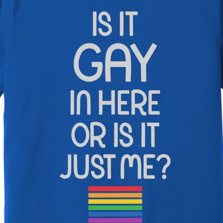 Is It Gay In Here Or Is It Just Me Gift Premium T-Shirt