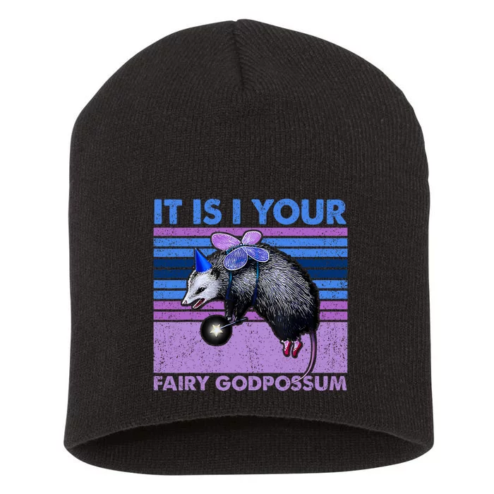 It Is I Your Fairy Godpossum Retro Opossum Lover Short Acrylic Beanie