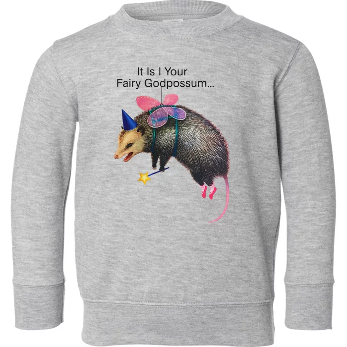 It Is I Your Fairy Godpossum Funny Design Toddler Sweatshirt