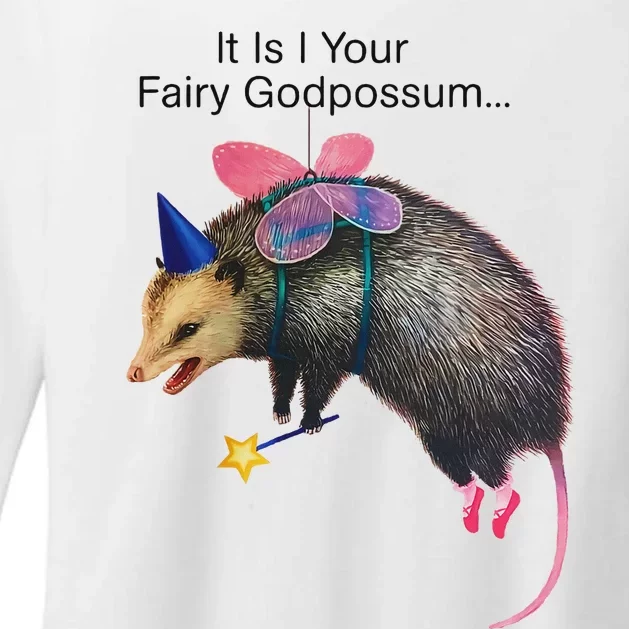 It Is I Your Fairy Godpossum Funny Design Womens CVC Long Sleeve Shirt