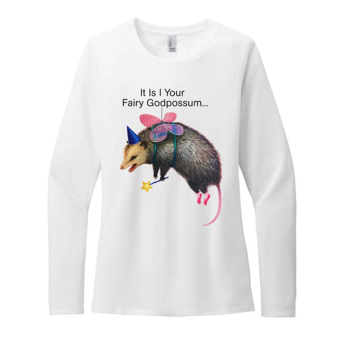 It Is I Your Fairy Godpossum Funny Design Womens CVC Long Sleeve Shirt