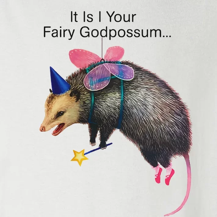 It Is I Your Fairy Godpossum Funny Design Toddler Long Sleeve Shirt