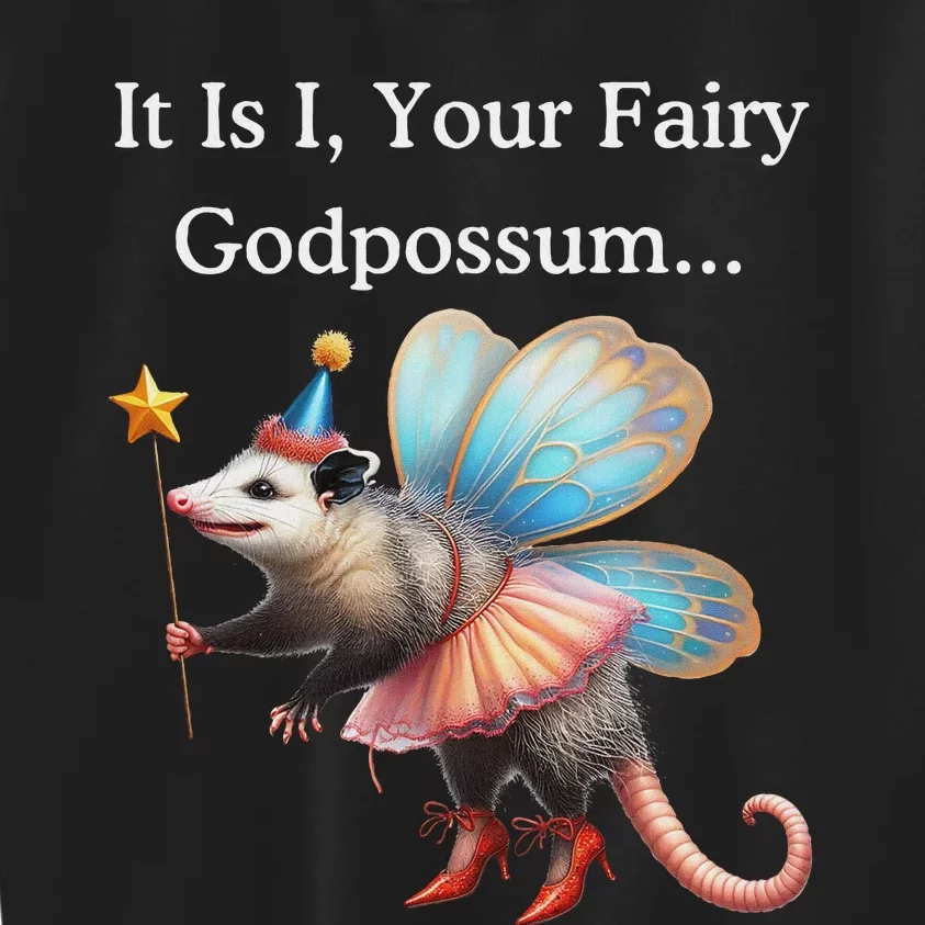 It Is I Your Fairy Godpossum Kids Sweatshirt