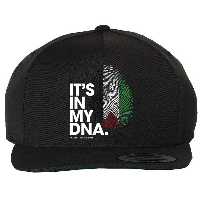 Its In My Dna Palestine Flag Palestinian Roots Wool Snapback Cap