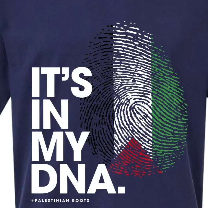 Its In My Dna Palestine Flag Palestinian Roots Sueded Cloud Jersey T-Shirt