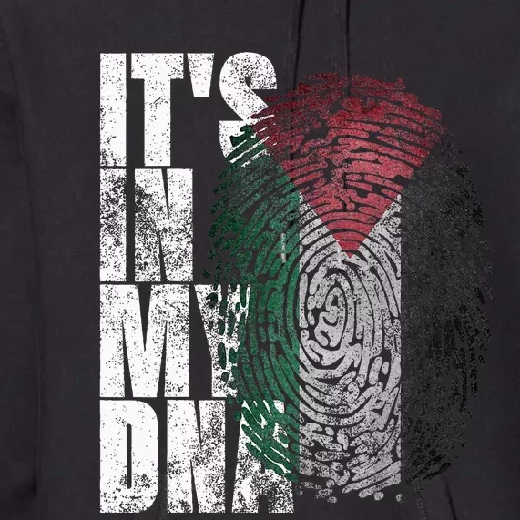 It In My Dna Palestinian Arabic Gifts Palestine Flag Premium Hoodie