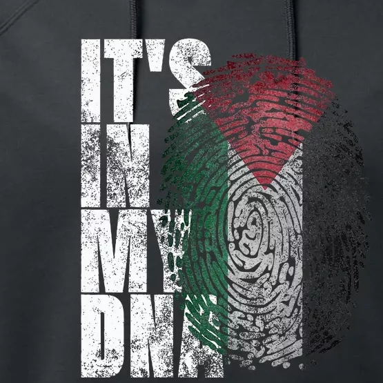 It's In My DNA Palestinian Arabic Gifts Palestine Flag Performance Fleece Hoodie