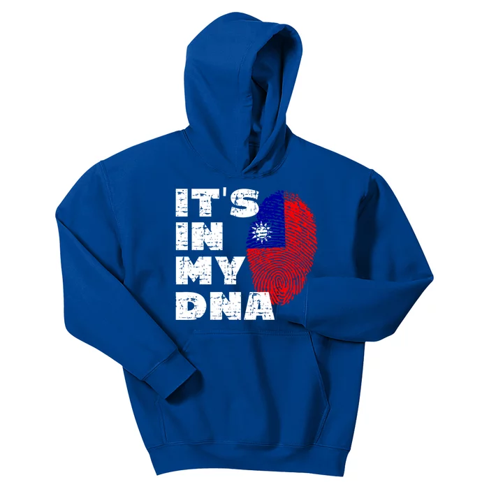 Its In My Dna Taiwan Flag Gift Kids Hoodie