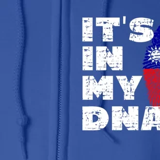 Its In My Dna Taiwan Flag Gift Full Zip Hoodie