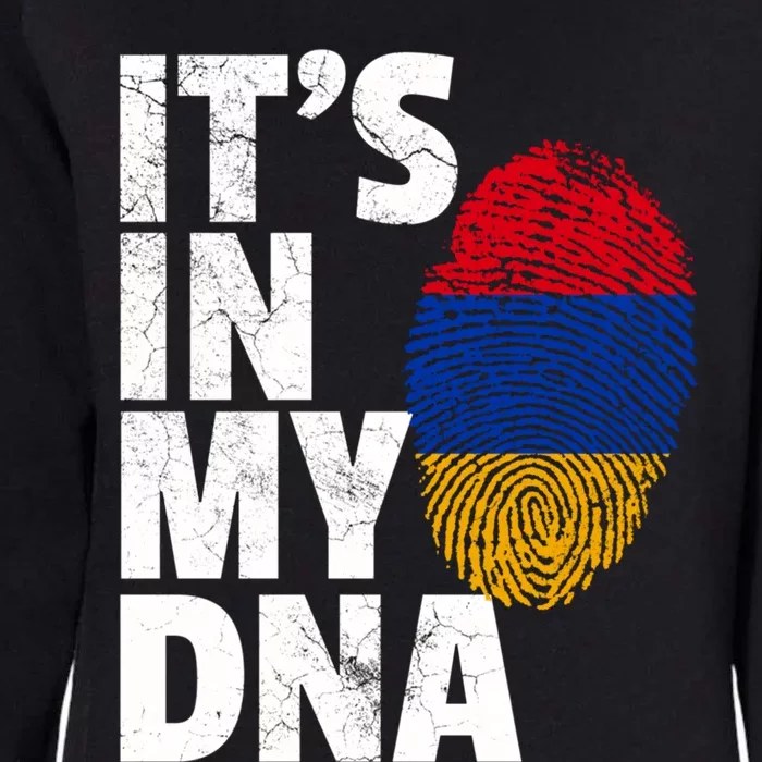 It's In My Dna Arian Aria Flag Pride National Country Gift Womens California Wash Sweatshirt