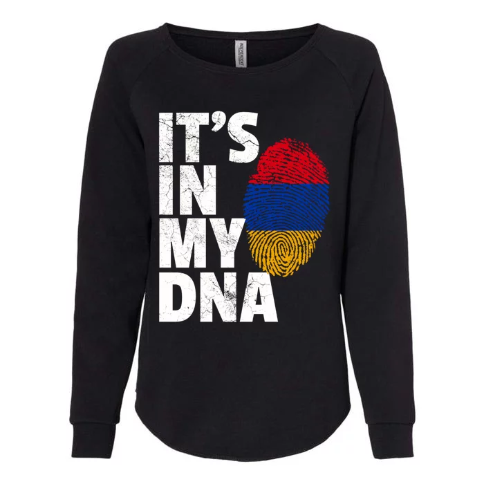 It's In My Dna Arian Aria Flag Pride National Country Gift Womens California Wash Sweatshirt