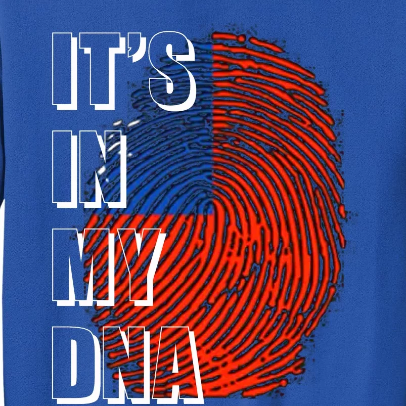 Its In My Dna Taiwan Flag Gift Sweatshirt