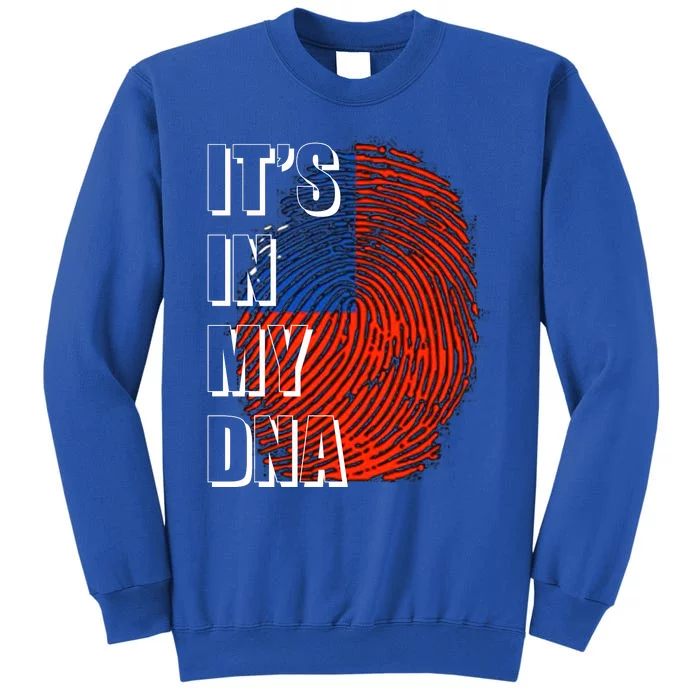 Its In My Dna Taiwan Flag Gift Sweatshirt