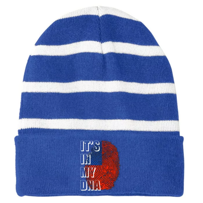 Its In My Dna Taiwan Flag Gift Striped Beanie with Solid Band