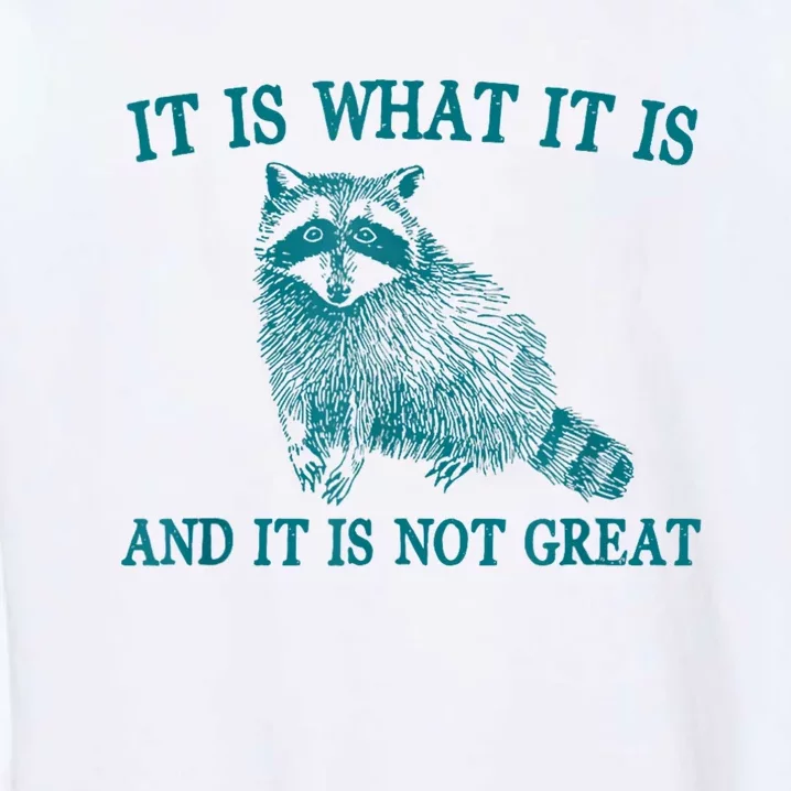 It Is What It Is And It Is Not Great Raccoon Garment-Dyed Sweatshirt