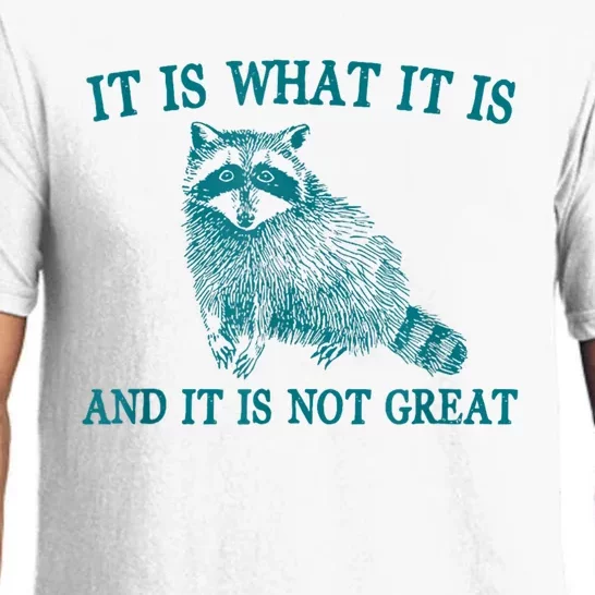 It Is What It Is And It Is Not Great Raccoon Pajama Set