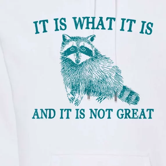 It Is What It Is And It Is Not Great Raccoon Premium Hoodie