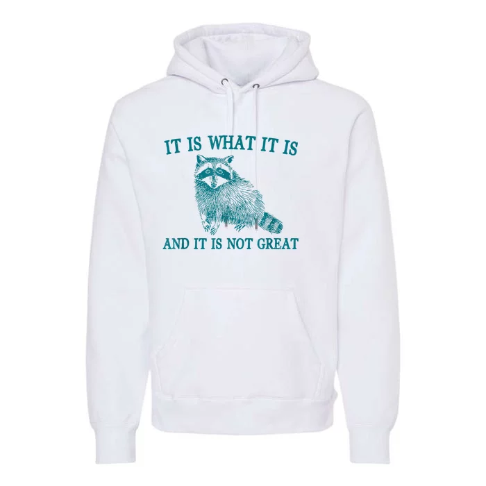 It Is What It Is And It Is Not Great Raccoon Premium Hoodie