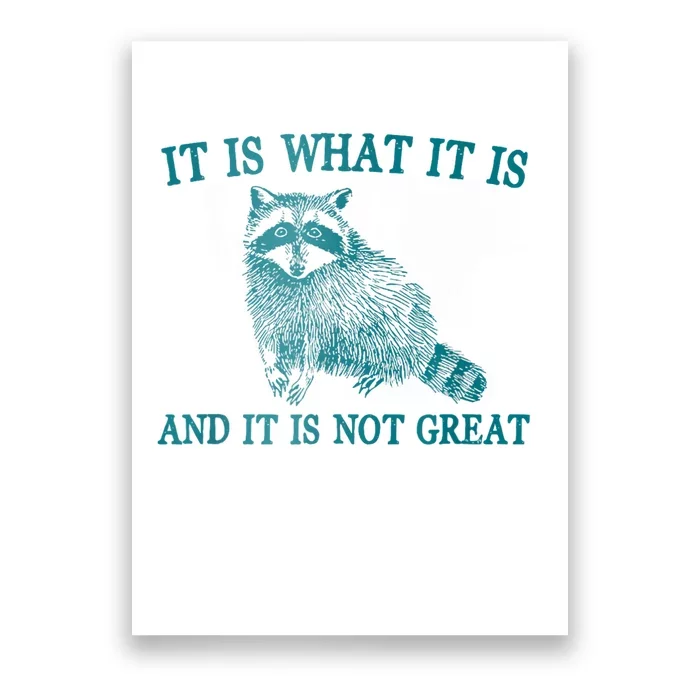 It Is What It Is And It Is Not Great Raccoon Poster