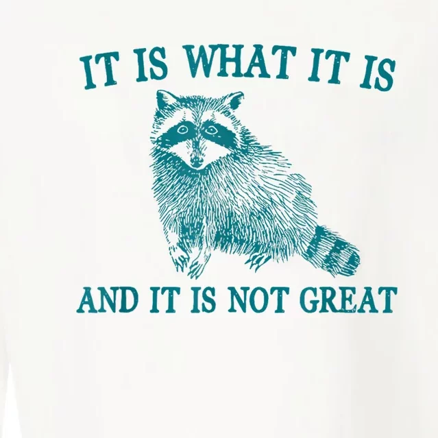 It Is What It Is And It Is Not Great Raccoon Cropped Pullover Crew