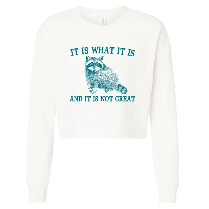 It Is What It Is And It Is Not Great Raccoon Cropped Pullover Crew