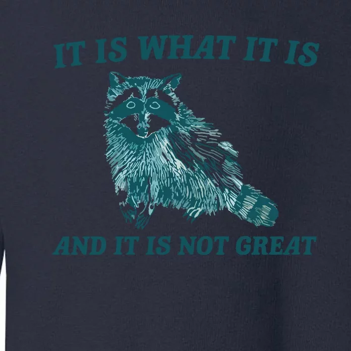 It Is What It Is And It Is Not Great Toddler Sweatshirt