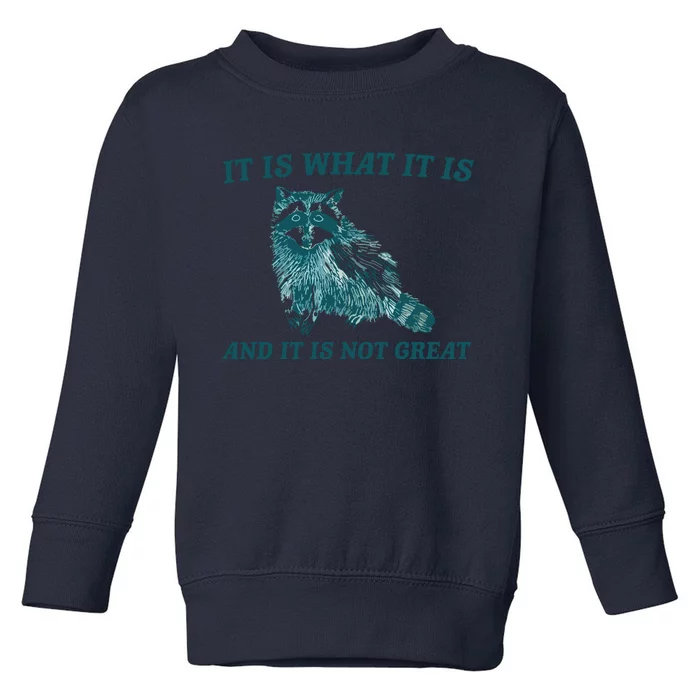 It Is What It Is And It Is Not Great Toddler Sweatshirt